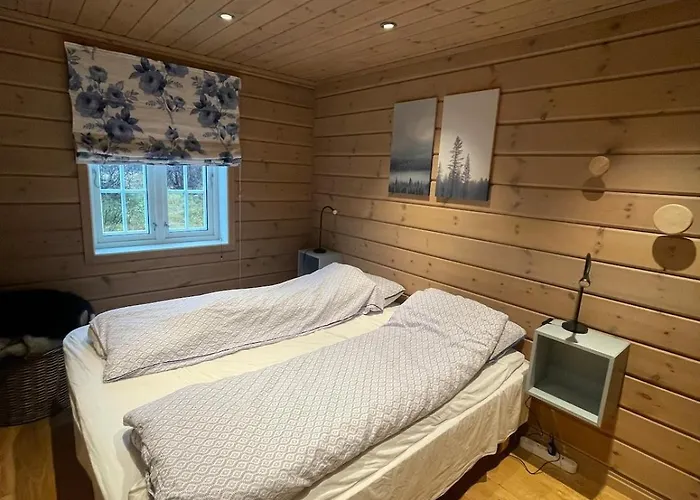 In Scenic Surroundings Hol (Buskerud)